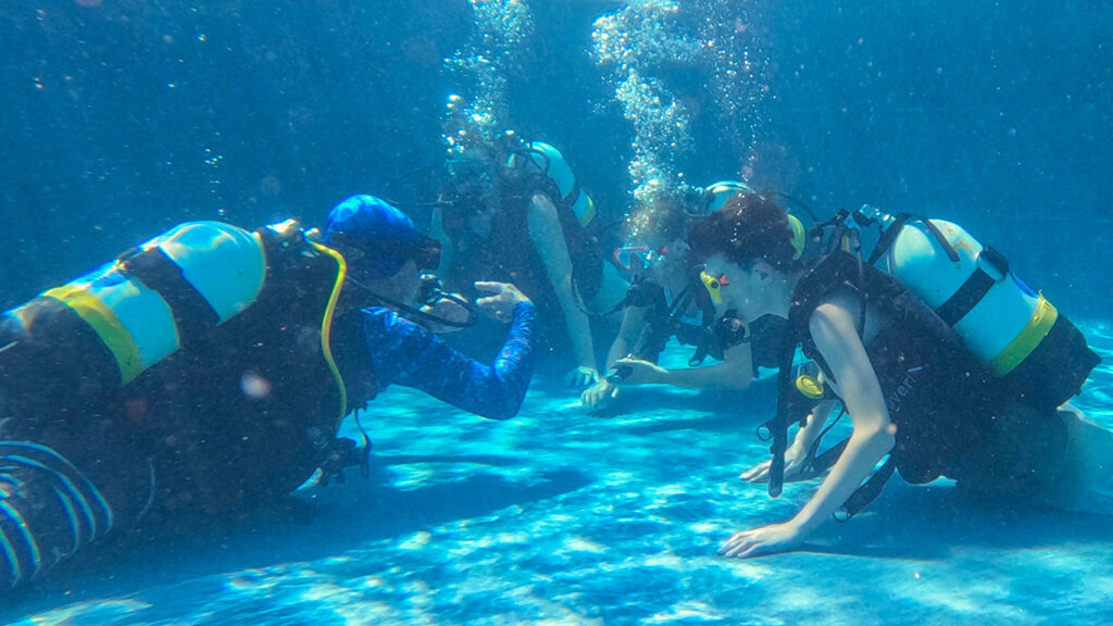 Hotel-IN_Gallery-Diving_01