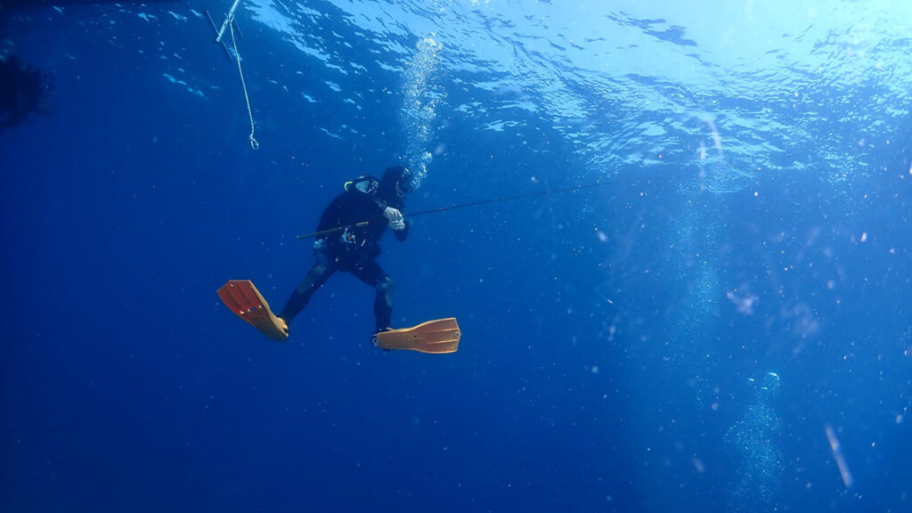 Hotel-IN_Gallery-Diving_04