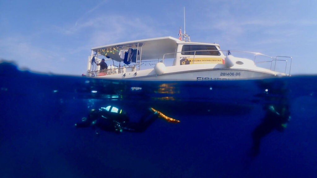 Hotel-IN_Gallery-Diving_05