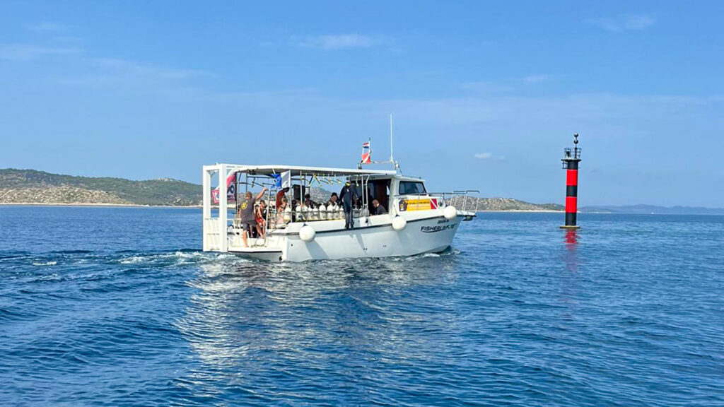 Hotel-IN_Gallery-Diving_06