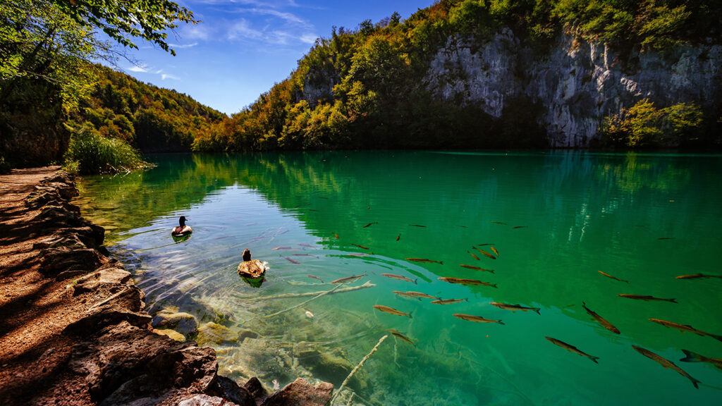 Hotel-IN_Gallery-Nationalparks_04